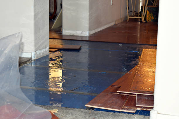 Professional Water Damage Restoration technician working in Gretna, VA